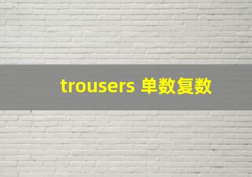 trousers 单数复数